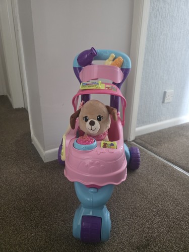 Vtech push along pet - along,